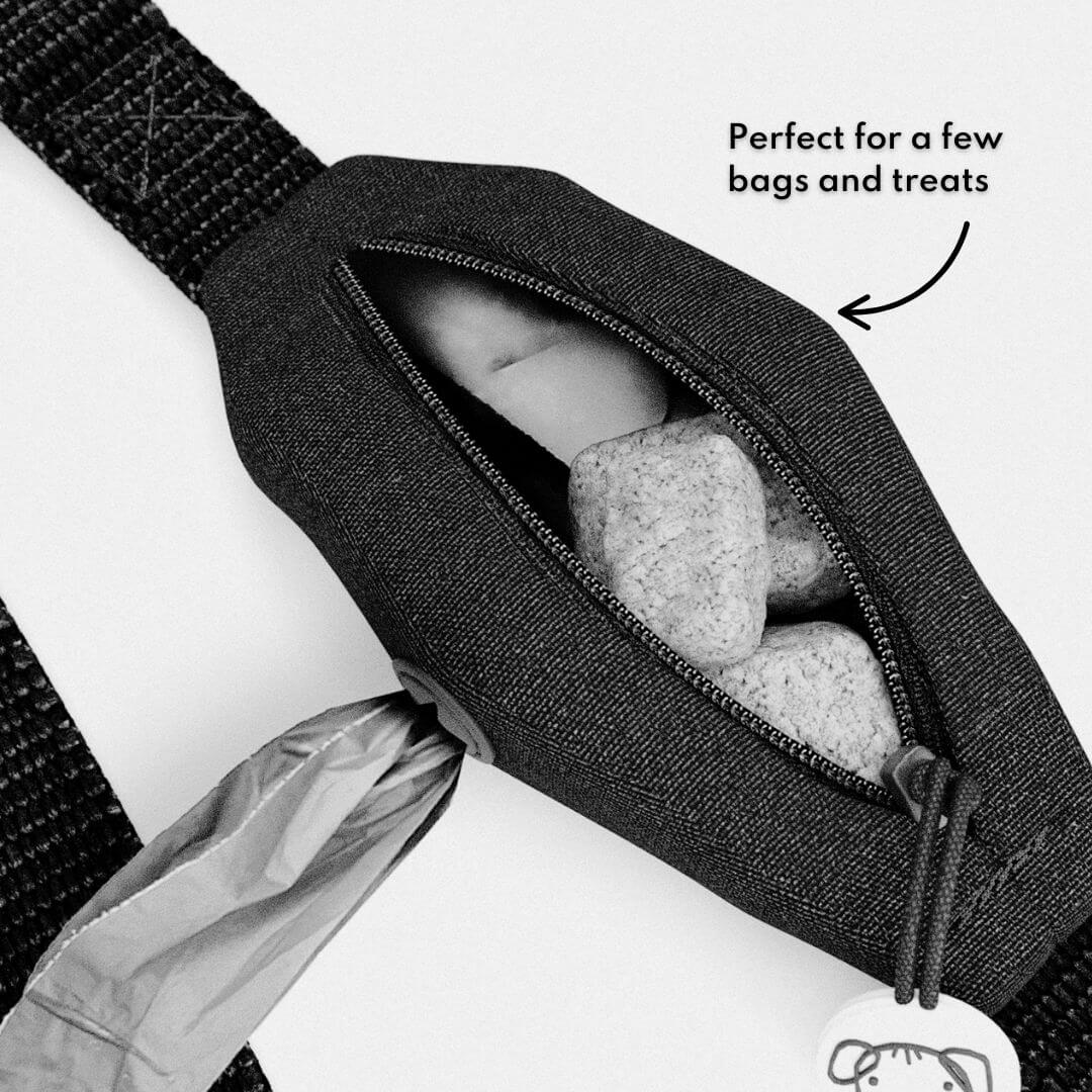 Ziippup  | Rainbow Dog Lead with Built in Pocket (BOWRAL)