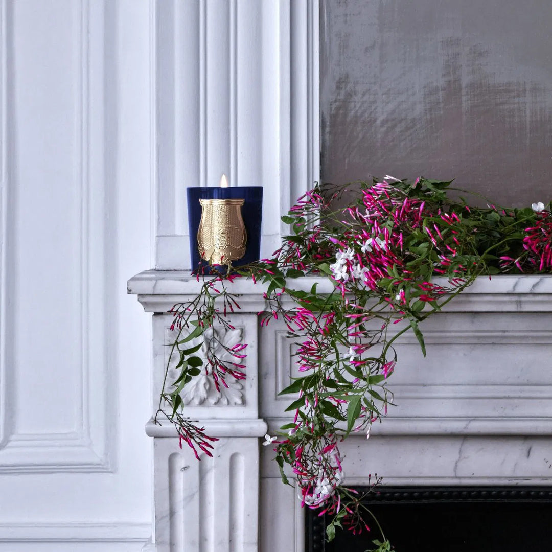 Trudon Madurai Candle | 270g | Splendour of Indian jasmine