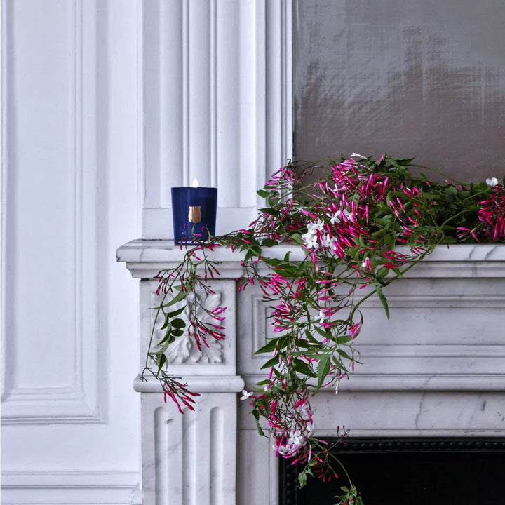 Trudon Madurai Candle | 270g | Splendour of Indian jasmine