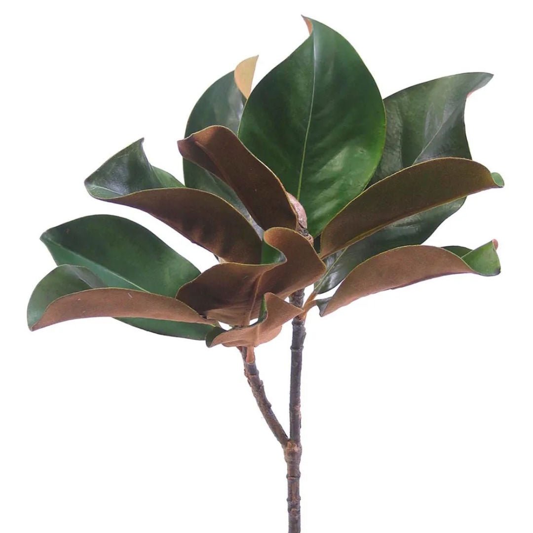 Magnolia Leaf Spray | Green - Suzie Anderson Home