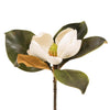 Magnolia | Short Stem | 60cm | White