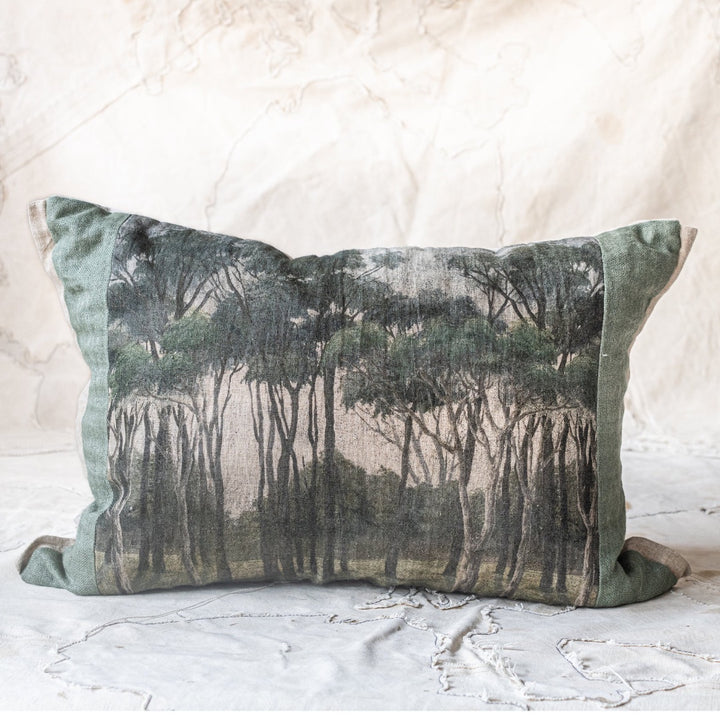 Manosque Cushion & Insert | Linen/Velvet Back | 40x55