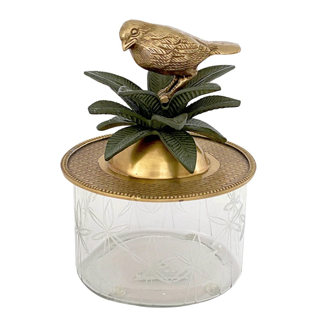 Museo Pajaro Trinket Box | Brass - Suzie Anderson Home