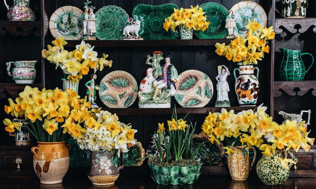 Nature of Decorating Book | Interiors Inspired by the Natural World | Jenny Rose - Innes - Suzie Anderson Home