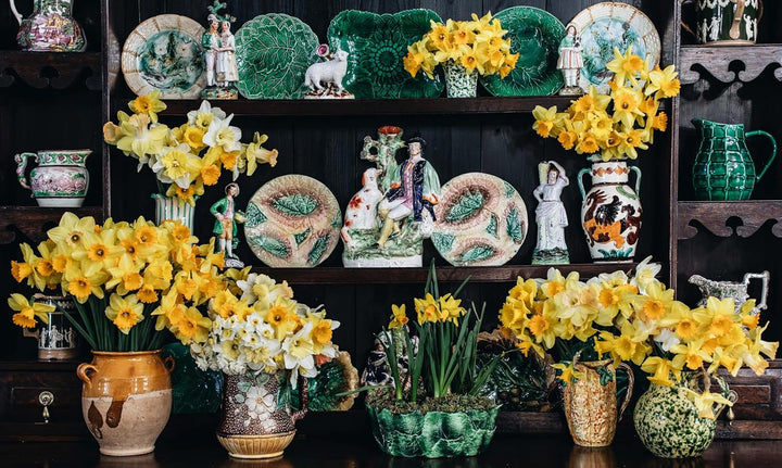 Nature of Decorating Book | Interiors Inspired by the Natural World | Jenny Rose - Innes - Suzie Anderson Home