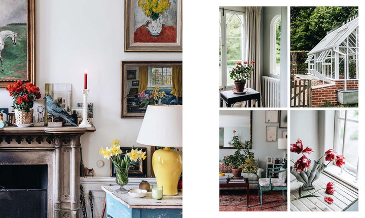 Nature of Decorating Book | Interiors Inspired by the Natural World | Jenny Rose - Innes - Suzie Anderson Home
