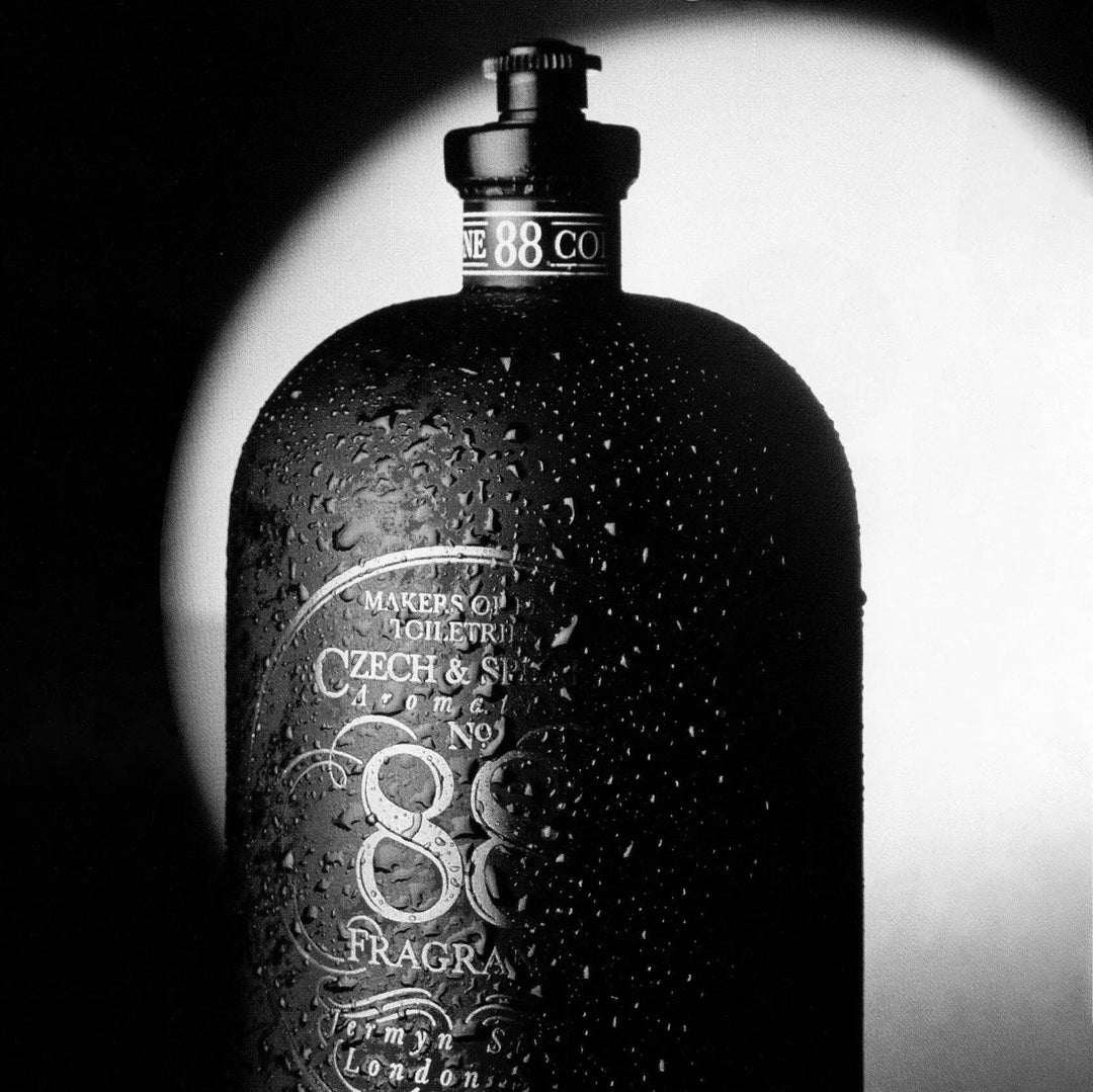 No.88 | Body Oil 50ml - Suzie Anderson Home