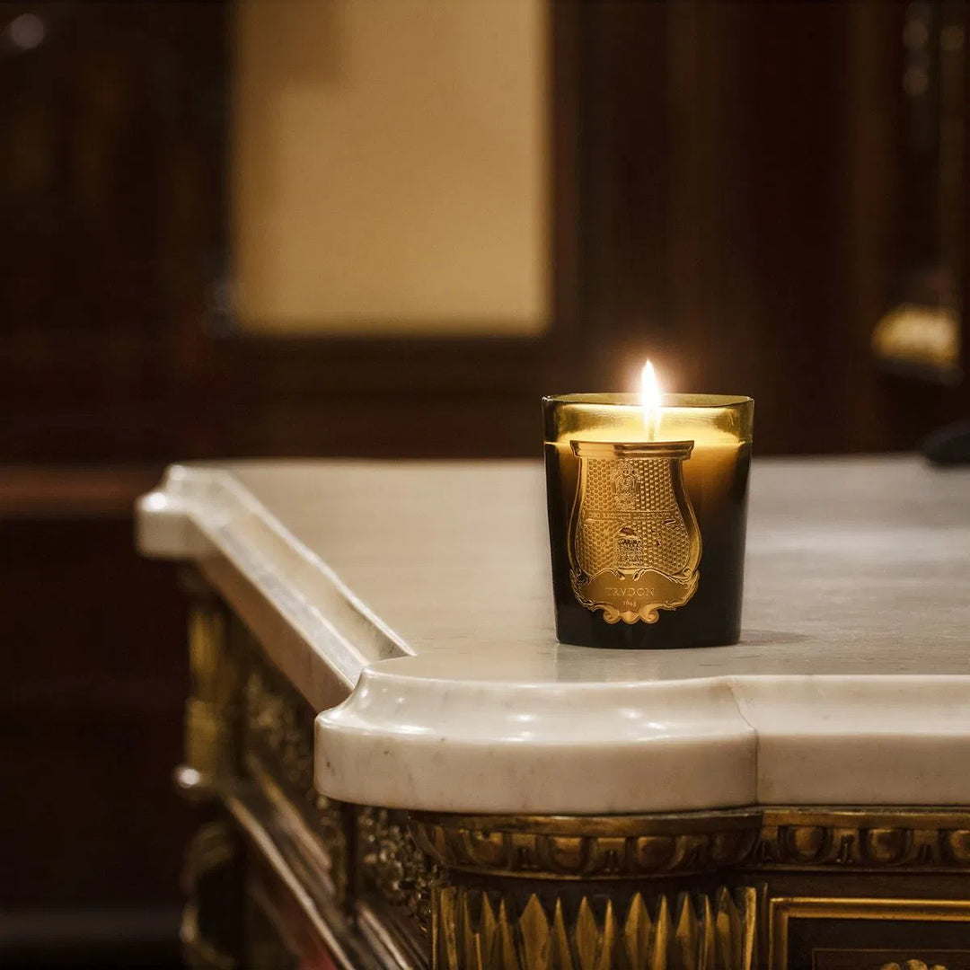 Trudon Gabriel Candle | 270g | Gourmand Chimney Fire