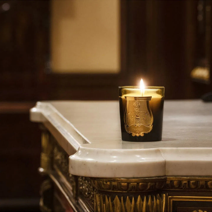 Trudon Gabriel Candle | 270g | Gourmand Chimney Fire