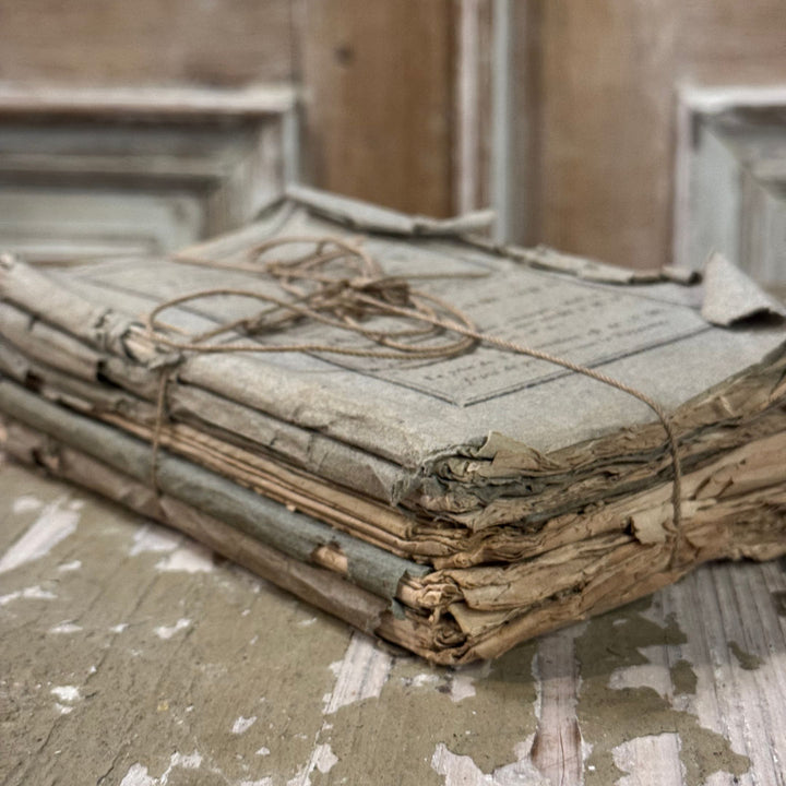 Bundle of Faded Blue French Books | Sourced in Belgium