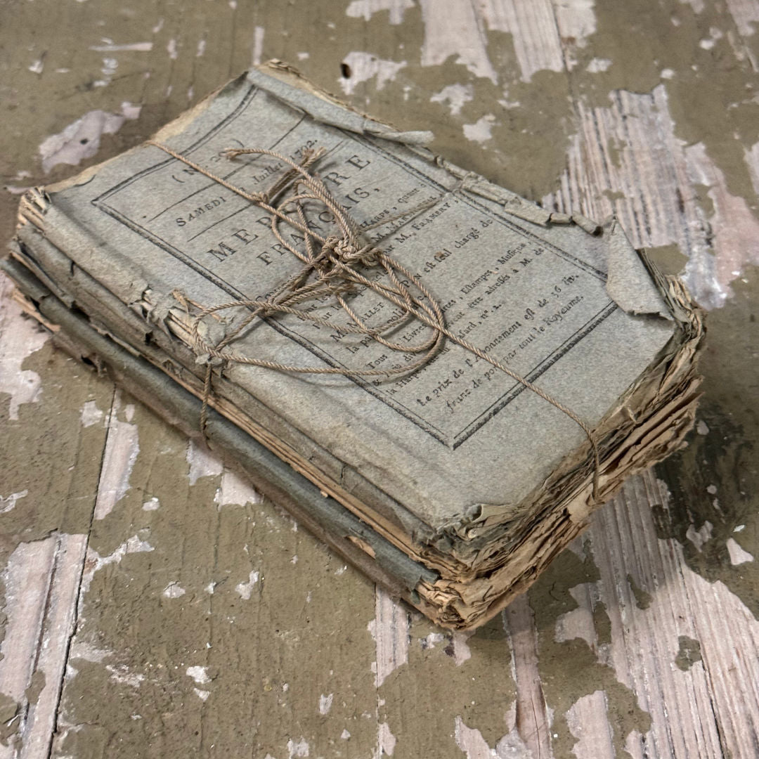 Bundle of Faded Blue French Books | Sourced in Belgium