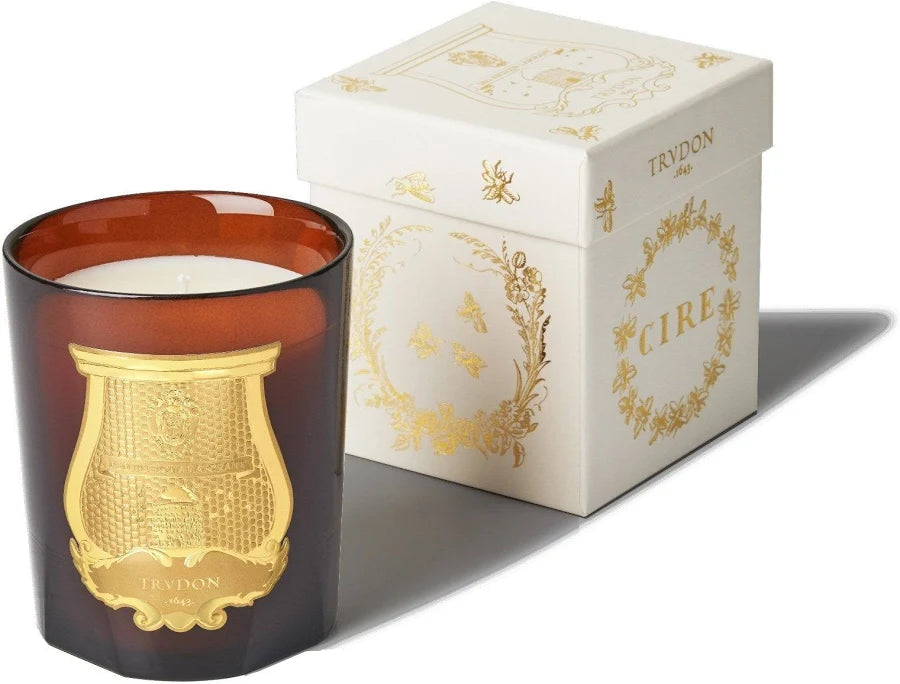 Trudon Grande Candle 3kg | Cire | Beeswax Absolute