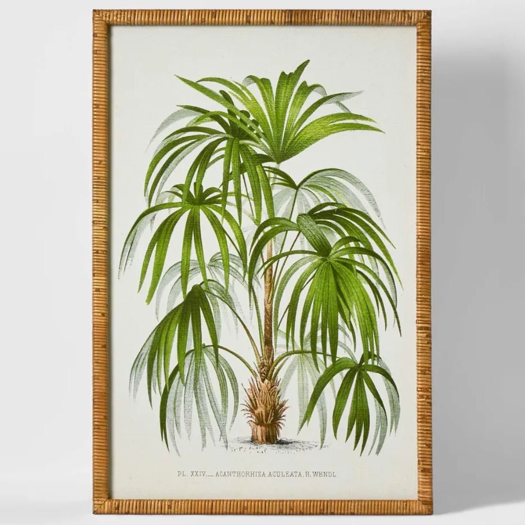 Palm Botanical | Art Print B | 60 x 90cm - Suzie Anderson Home