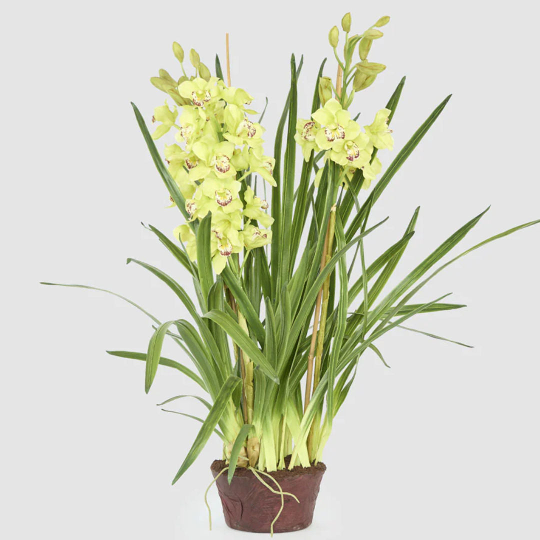 Cymbidium Giant Faux Plant 1.1m | Light Green