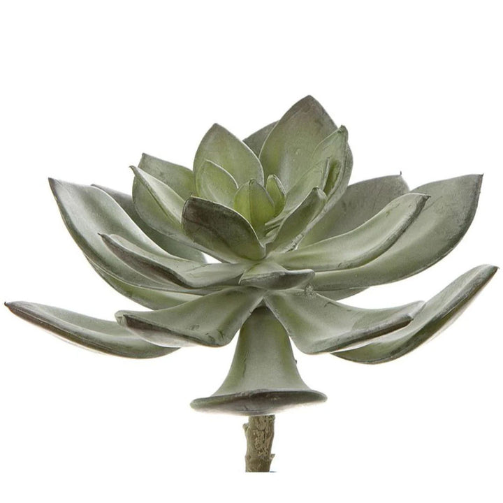Faux Succulent Pearl Pick 15cm Grey