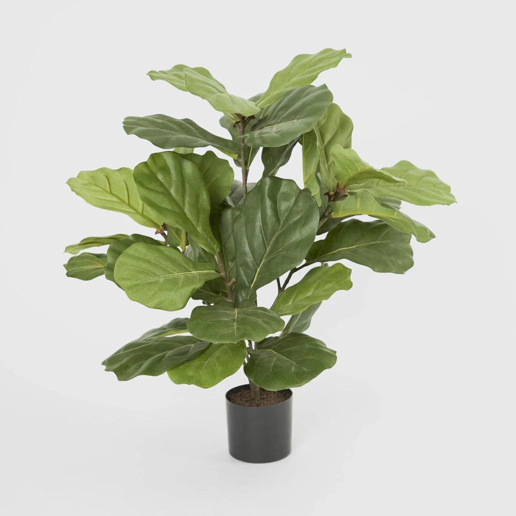 Potted Faux Fiddle Leaf Fig Tree w 36 Leaves - Suzie Anderson Home