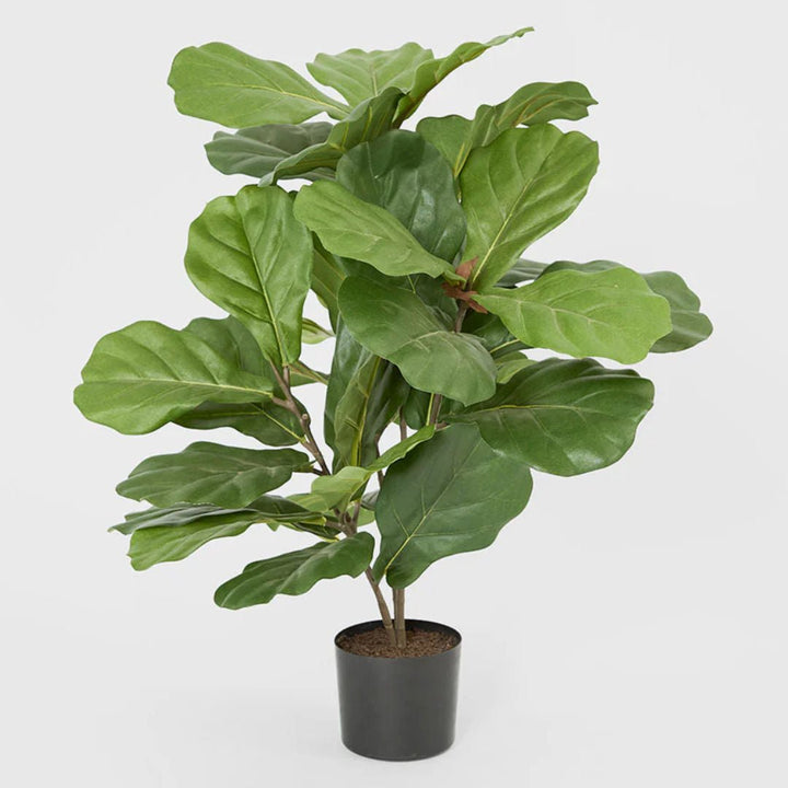 Potted Faux Fiddle Leaf Fig Tree w 36 Leaves