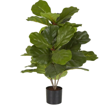 Potted Fiddle Leaf Fig Tree w 36 Leaves-Suzie Anderson Home