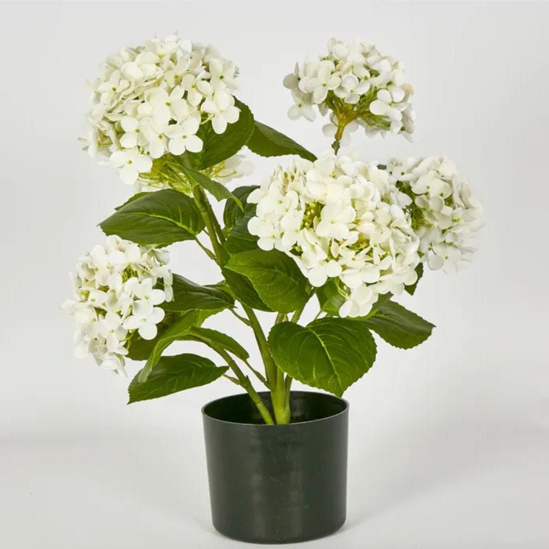 Potted Hydrangea (Real Touch) | White | 53cm - Suzie Anderson Home
