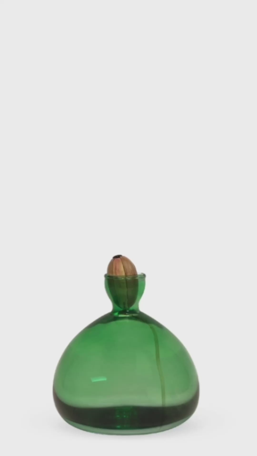Acorn Propogation Vase | Coloured Emerald Green (Acorn not included)