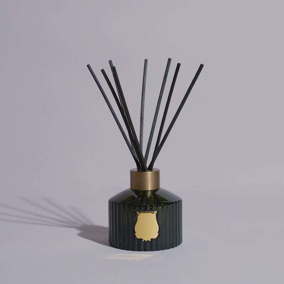 Trudon | Le Diffuser | Spiritus Sancti | 350ml | Incense