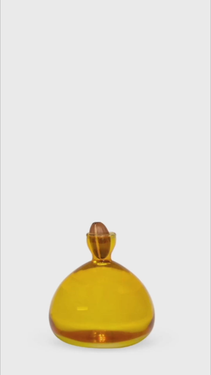 Acorn Propogation Vase | Coloured Mellow Yellow (Acorn not included)