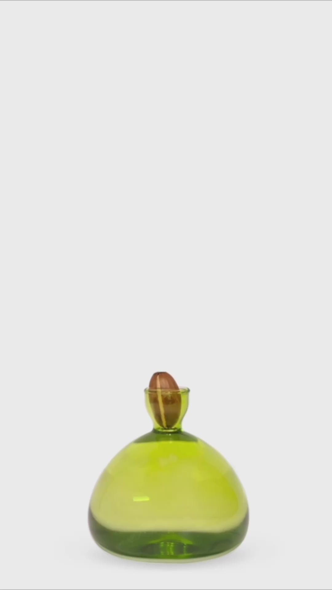 Acorn Propogation Vase | Coloured Grass Green (Acorn not included)