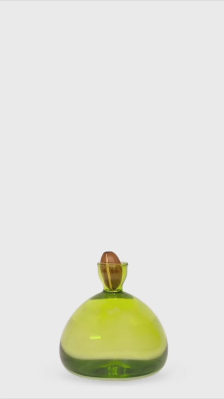 Acorn Propogation Vase | Coloured Grass Green (Acorn not included)