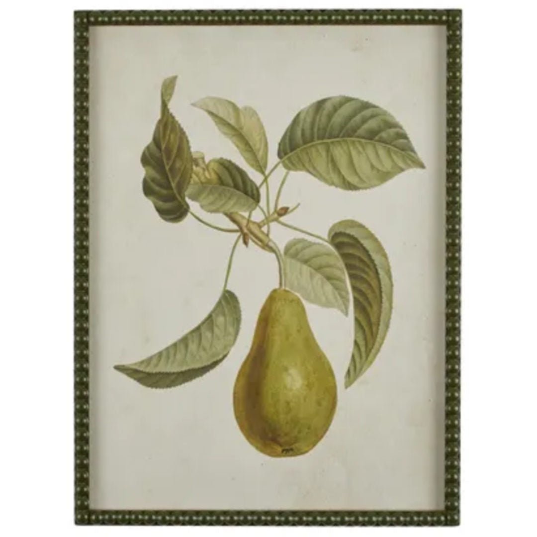 Pyrus Single Pear Framed Print Wall Art | 45 x 60cm - Suzie Anderson Home