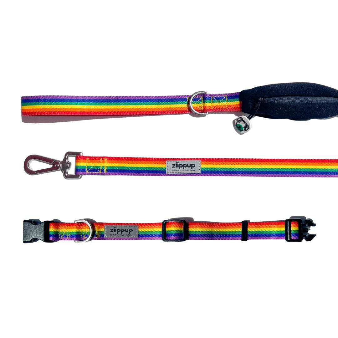 Ziippup | Dog Collar Rainbow (BOWRAL)