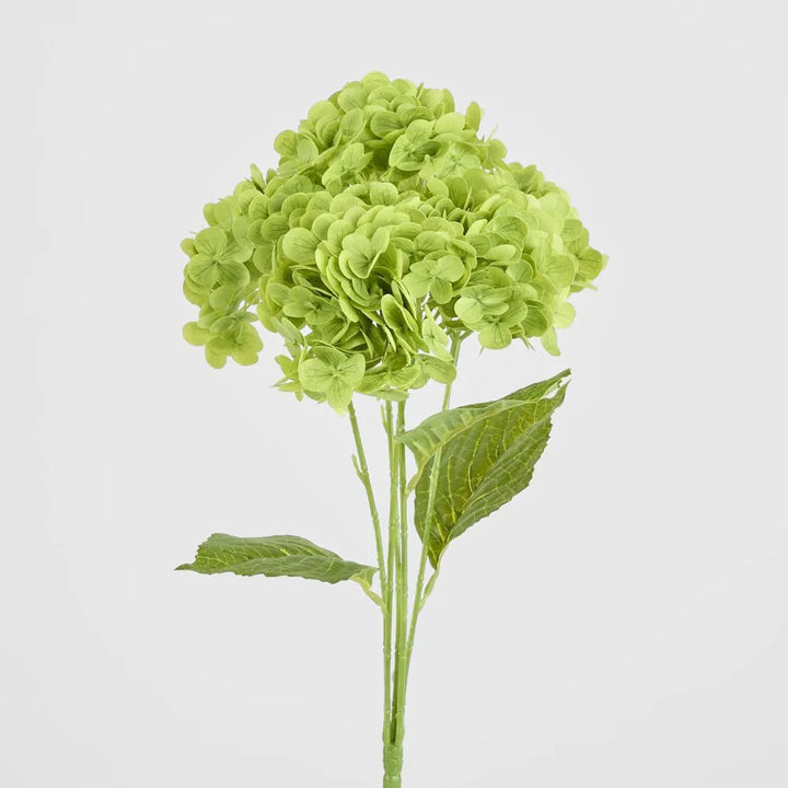 Real Touch Faux Green Hydrangea Bunch | 5 Head - Suzie Anderson Home
