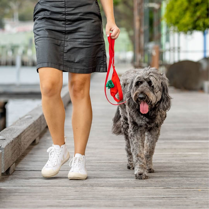 Ziippup  | Red Dog Lead with Built in Pocket (BOWRAL)