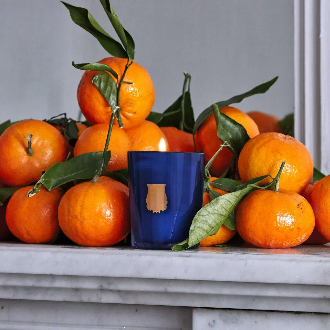 Trudon Petite Candle | Reggio 70g |  Hint of citrus from Calabria