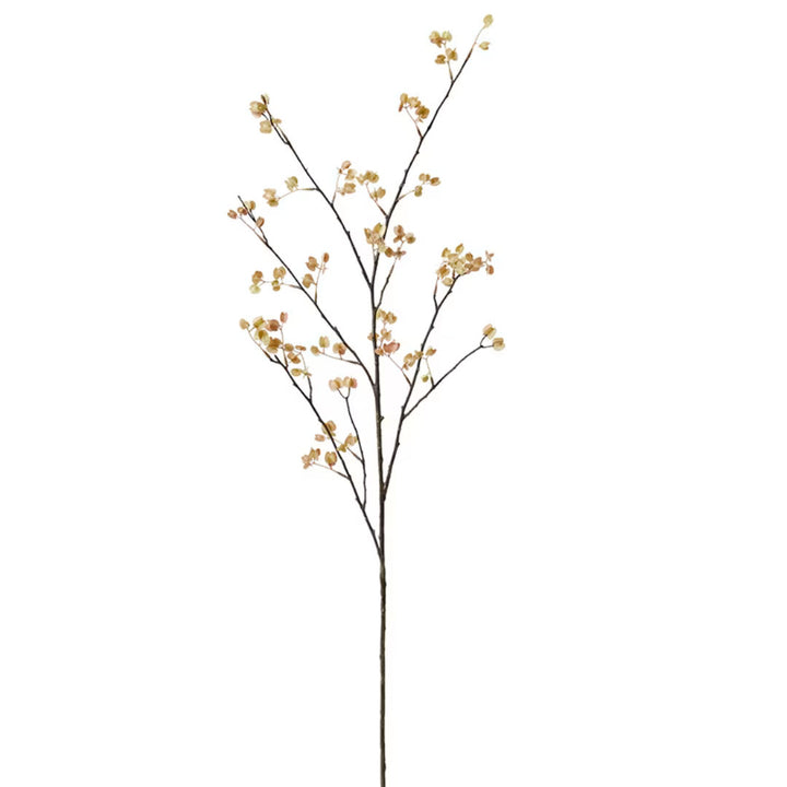 Elm Seedling Spray | Soft Pink