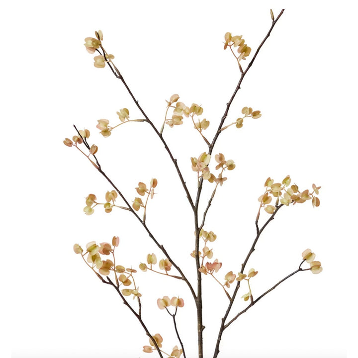 Elm Seedling Spray | Soft Pink