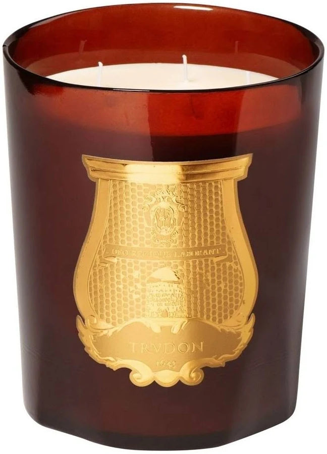 Trudon Grande Candle 3kg | Cire | Beeswax Absolute