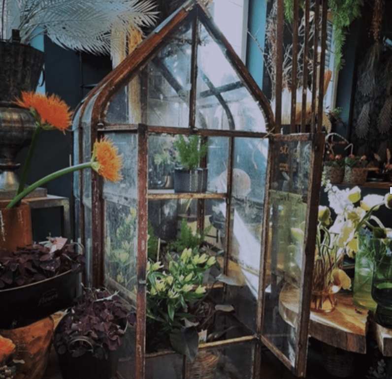 The Vitrarium Collection Vitrarium Niche | Crafted Steel & Glass Greenhouse sourced from antique French Vineyard Greenhouses | ENQUIRE NOW - Suzie Anderson Home