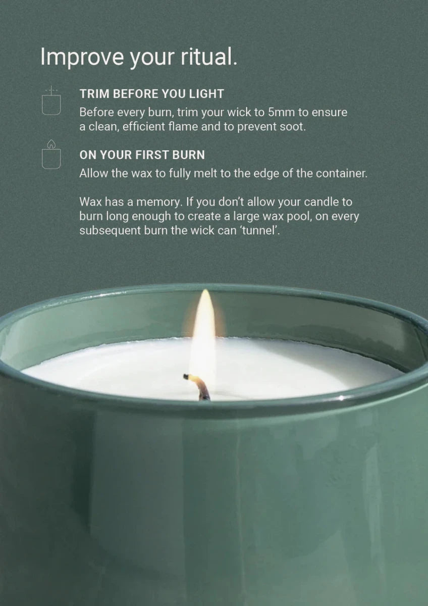 Therapy® Garden Candle | Wild Mint &amp; Lime | 260g - Suzie Anderson Home