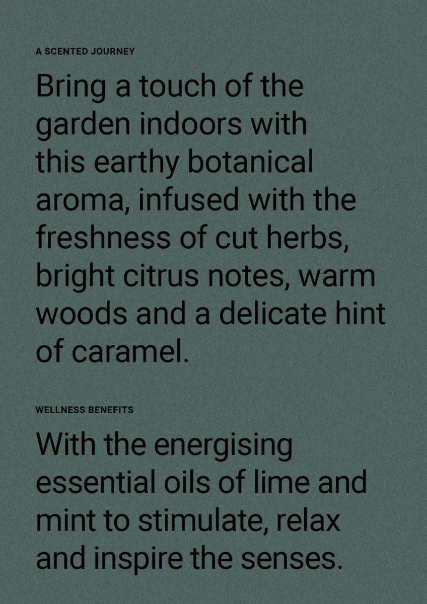 Therapy® Garden Hand &amp; Body Lotion | Wild Mint &amp; Lime - Suzie Anderson Home