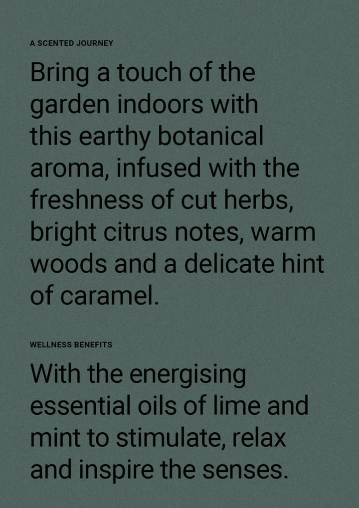Therapy® Garden Hand &amp; Body Lotion | Wild Mint &amp; Lime - Suzie Anderson Home
