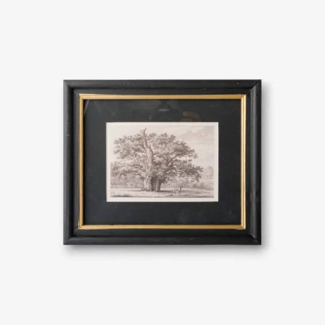 Pencilled Oak Tree Framed Art | 25 x 30cm