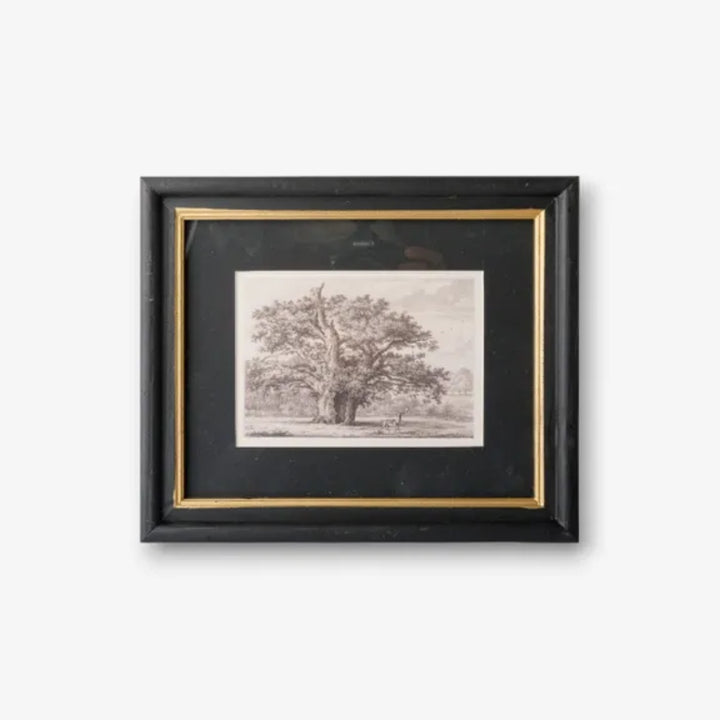 Pencilled Oak Tree Framed Art | 25 x 30cm