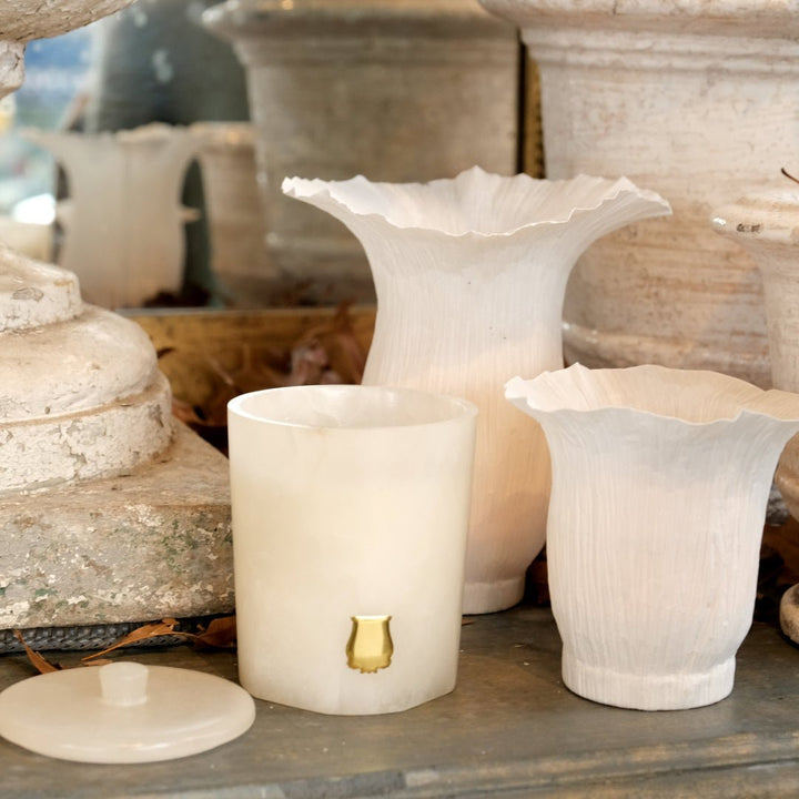 Trudon Alabaster Candle with Lid 270g | Atria | Iris and Amber - Suzie Anderson Home