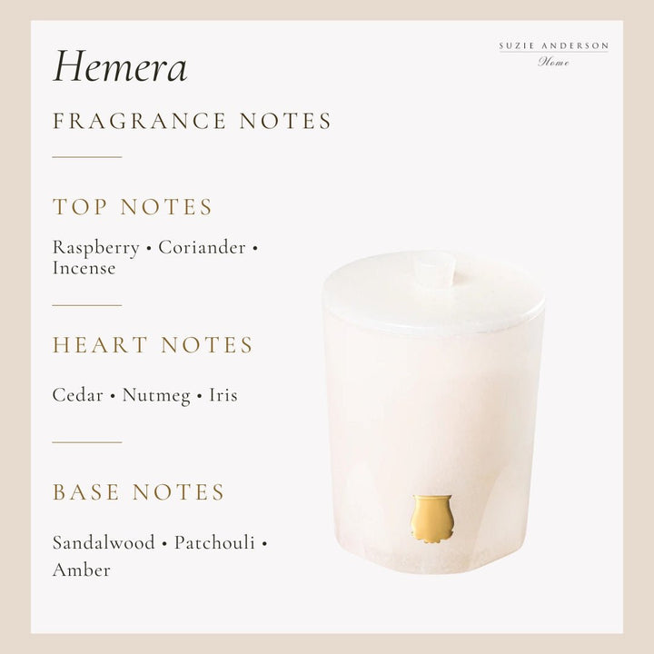 Trudon Alabaster Candle with Lid 270g | Hemera | Coriander and Pink Peppercorn - Suzie Anderson Home