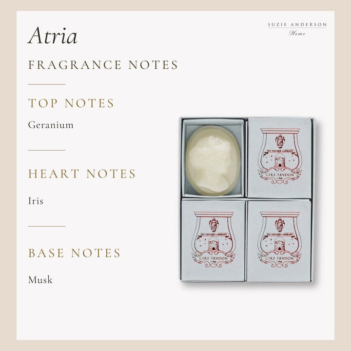 Trudon Atria Scented Cameos | 4 pack | Iris and Amber - Suzie Anderson Home