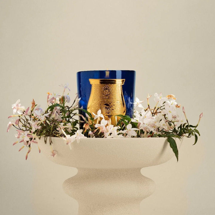 Trudon Belles Matières Maduraï Classic Candle | 270g | Splendour of Indian jasmine - Suzie Anderson Home