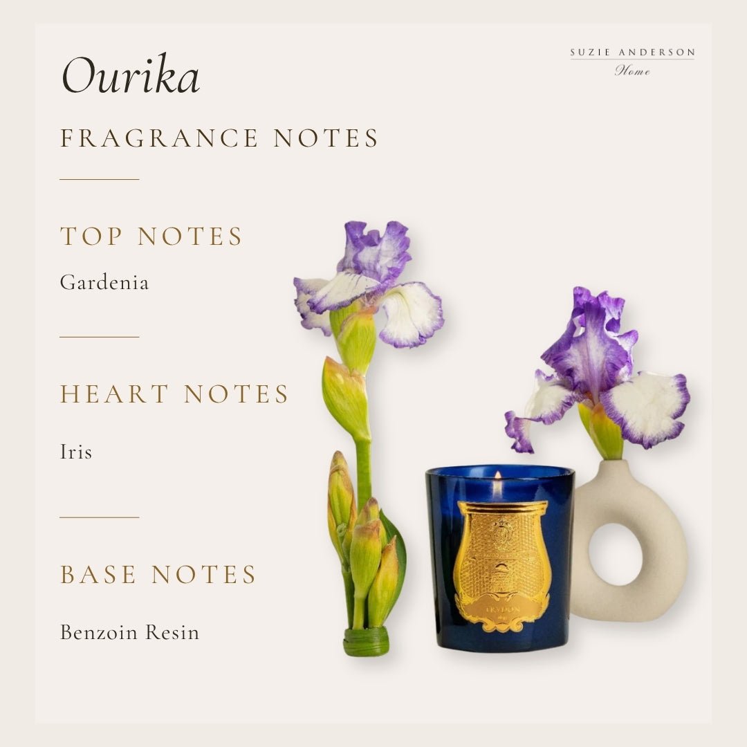 Trudon Belles Matières Ourika Classic Candle | 270g | Sensual and spicy - Suzie Anderson Home