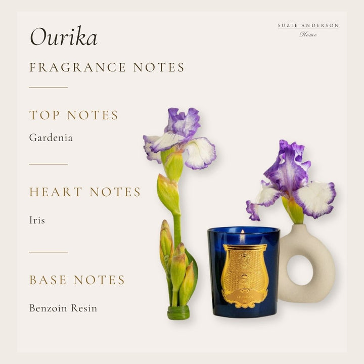 Trudon Belles Matières Ourika Classic Candle | 270g | Sensual and spicy - Suzie Anderson Home