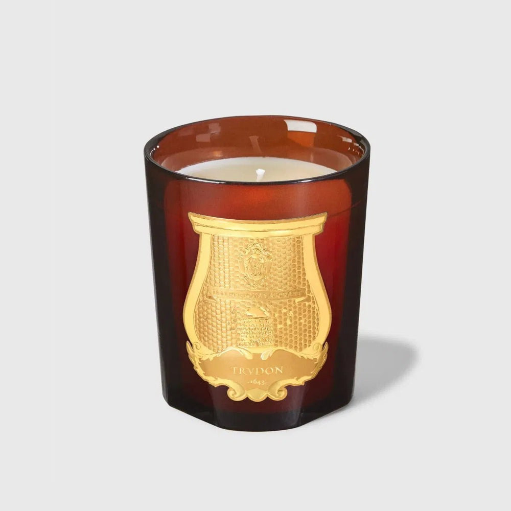 Trudon Cire Candle | 270g | Beeswax Absolute - Suzie Anderson Home