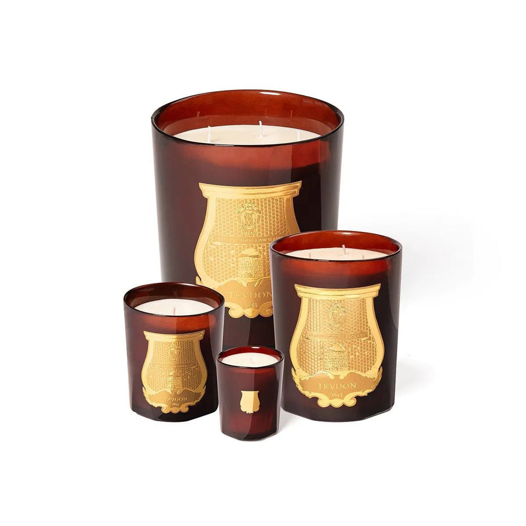 Trudon Cire Candle | 270g | Beeswax Absolute - Suzie Anderson Home